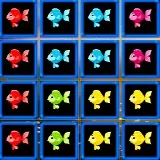 1010 Fish Blocks